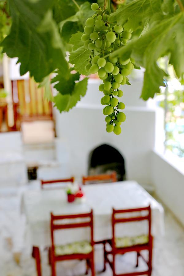 Sulo Pension Patara Extérieur photo