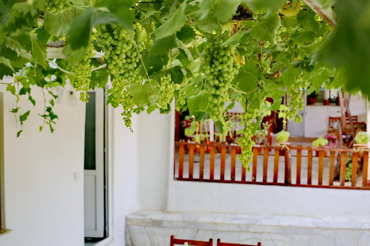 Sulo Pension Patara Extérieur photo